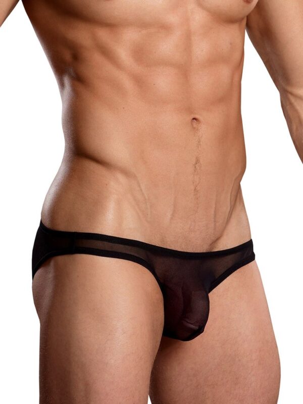 Male Power Male Power Euro Mesh: Pouch Brazilbrief